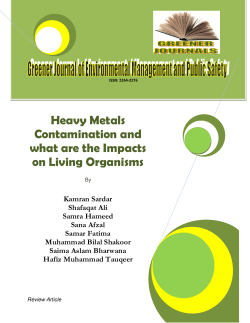 Heavy Metals Contamination and what are the Impacts on Living