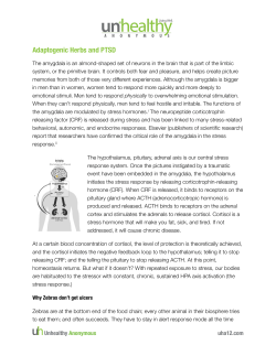 Adaptogenic Herbs and PTSD
