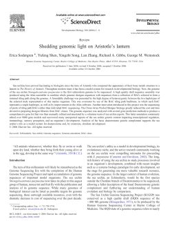 Shedding genomic light on Aristotle`s lantern