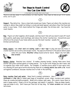 Ten Steps to Roach Control You Can Live With