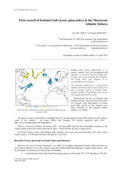 First record of Iceland Gull (Larus glaucoides) in the - Go