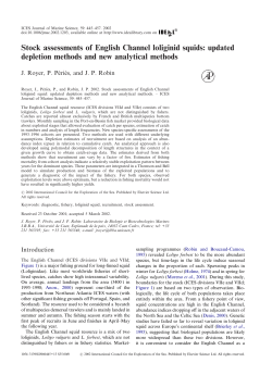 Stock assessments of English Channel loliginid squids: updated