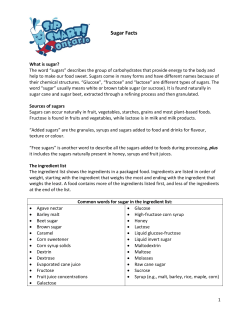 Sugar Facts - BrightBites