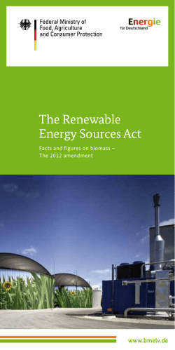 The Renewable Energy Sources Act