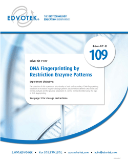 DNA Fingerprinting by Restriction Enzyme Patterns