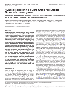 Drosophila melanogaster - Oxford Academic