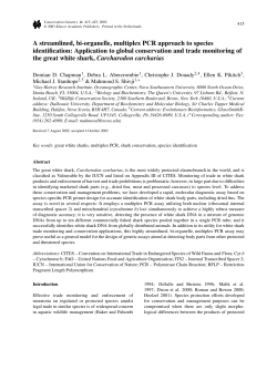 A streamlined, bi-organelle, multiplex PCR approach to species