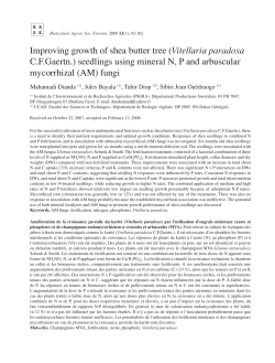 Improving growth of shea butter tree