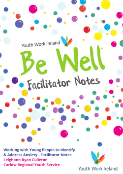 Factilitator`s Notes