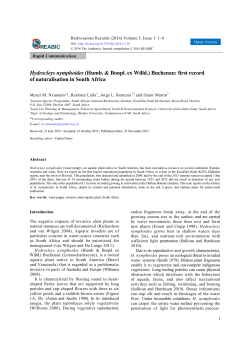 article (Open Access)