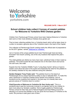 School children help collect 2 tonnes of coastal pebbles