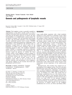 Genesis and pathogenesis of lymphatic vessels