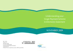 Understanding your Single Payment Scheme Entitlements