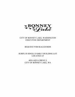 city of bonney lake, washington executive department request for