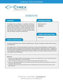 osteocyte - Codice Paleo