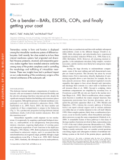 On a bender&mdash;BARs, ESCRTs, COPs, and finally getting