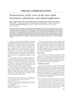 Nomenclature of the veins of the lower limb
