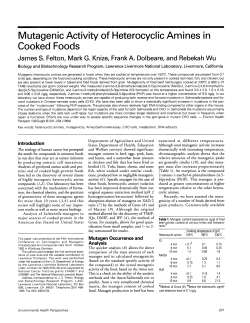 Mutagenic Activity of Heterocyclic Amines in