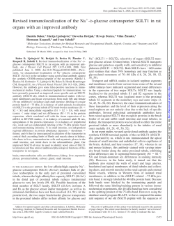 Revised immunolocalization of the Na -D-glucose - AJP-Cell