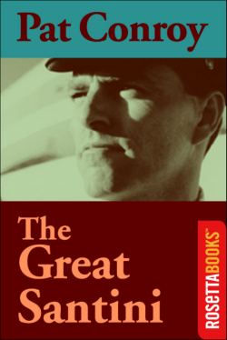 The Great Santini - Shadows Government