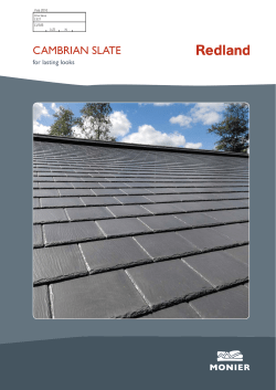 07 Cambrian Slate Guide