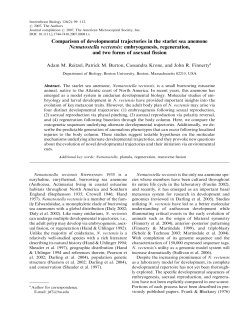 Comparison of developmental trajectories in the starlet