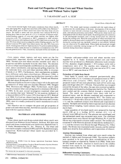 Paste and Gel Properties of Prime Corn and Wheat Starches With