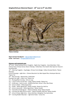 Qinghai/Sichuan Mammal Report