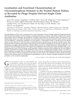 J Am Soc Nephrol 16: 1279-1288, 2005