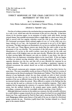 direct response of the crab carcinus to the movement of the sun