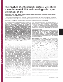The structure of a thermophilic archaeal virus shows a double