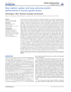Size matters: spleen and lung volumes predict performance in