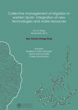 Collective management of irrigation in eastern Spain. Integration of