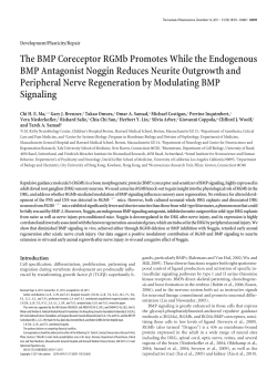 PDF - Journal of Neuroscience