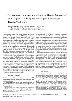 Separation of Concanavalin A-induced Human Suppressor and