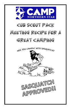 Recipe for a Great Summer Cub - Northern Star Council Camping