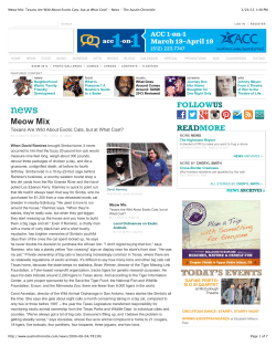 Meow Mix: Texans Are Wild About Exotic Cats, but at What Cost