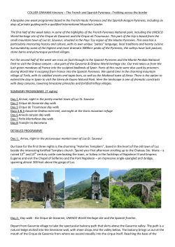 The French and Spanish Pyrenees