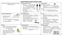 Chapter 10 Lesson 1 Handout