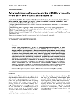 Advanced resources for plant genomics: a BAC library specific