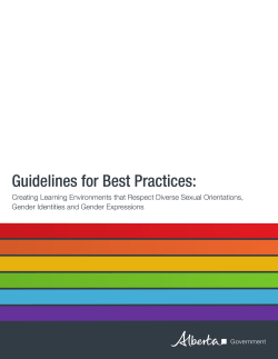 Guidelines for Best Practices: Creating Learning Environments