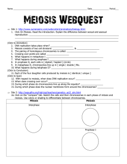 Meiosis Webquest 2017