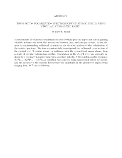 ABSTRACT TWO-PHOTON POLARIZATION SPECTROSCOPY OF