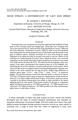 bone strain: a determinant of gait and speed?