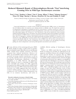 Non``-interfering Crossing Over in Wild-Type