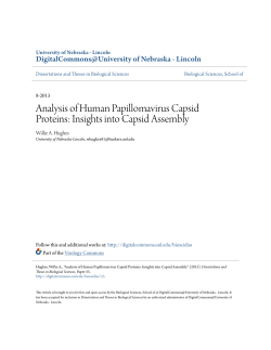 Analysis of Human Papillomavirus Capsid Proteins: Insights into
