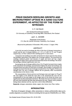 pinus radiata seedling growth and micronutrient