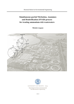 Simultaneous partial Nitritation, Anammox and Denitrification (SNAD