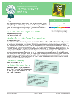 Stink Bug - Flyleaf Publishing