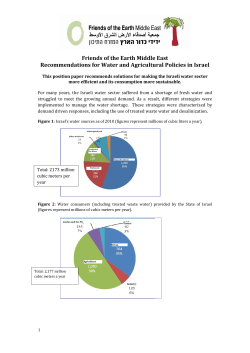 Position Paper in English